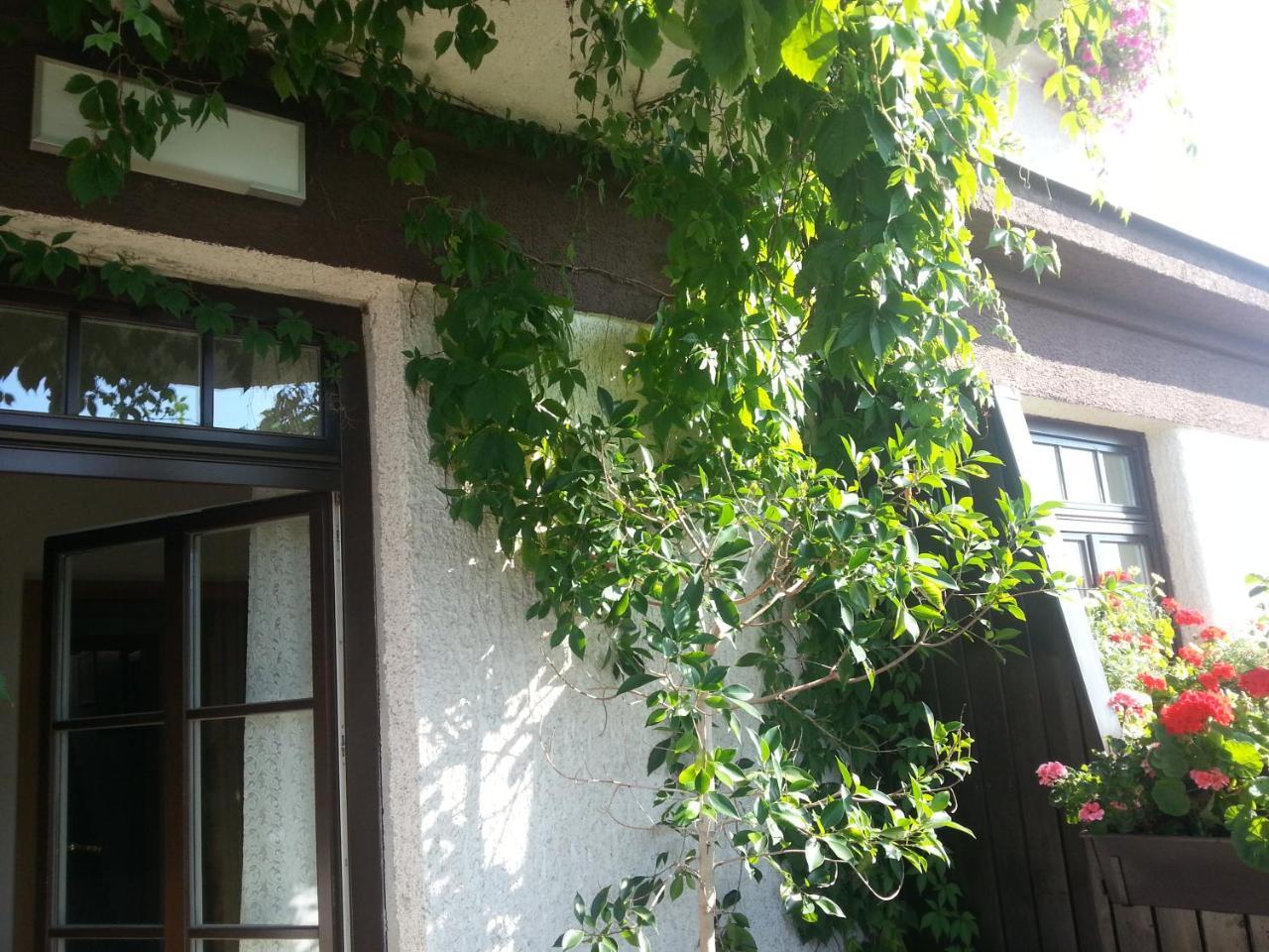 Antik Hotel Sofia Litomyšl Dış mekan fotoğraf