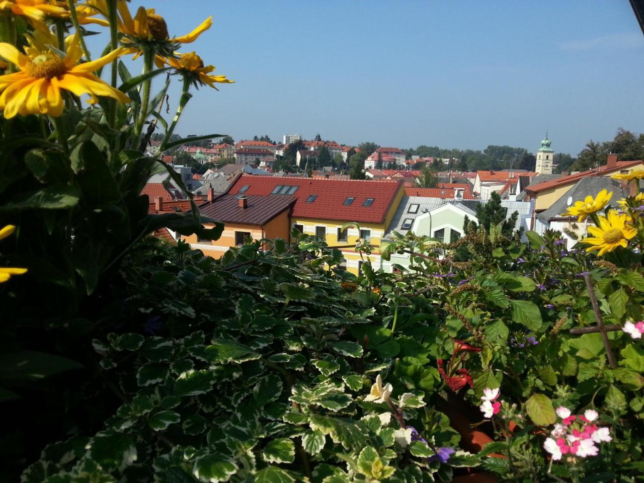 Antik Hotel Sofia Litomyšl Dış mekan fotoğraf