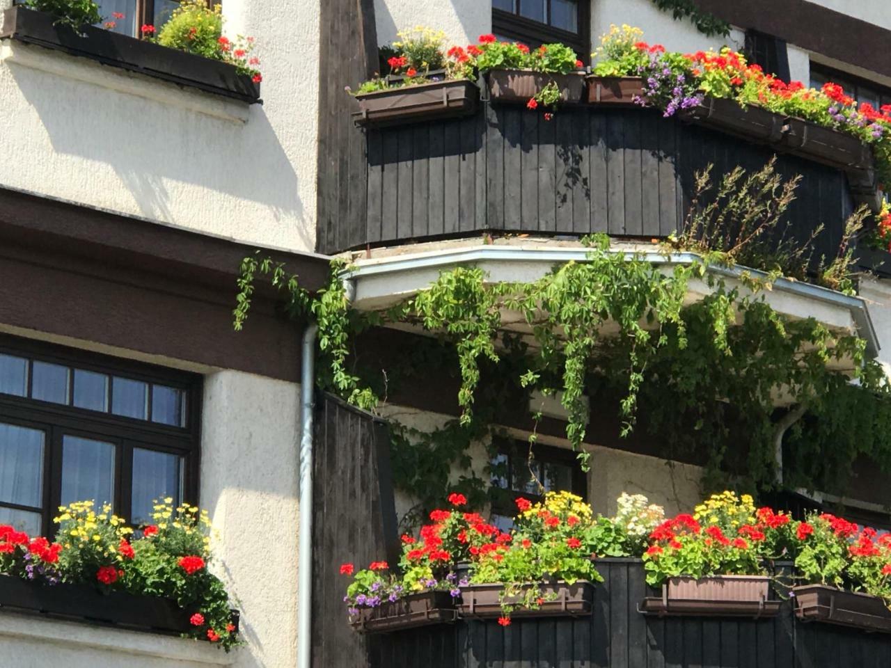 Antik Hotel Sofia Litomyšl Dış mekan fotoğraf